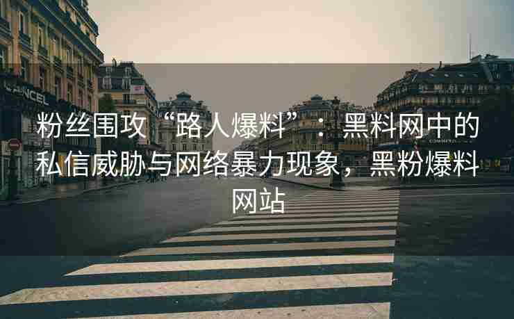 粉丝围攻“路人爆料”：黑料网中的私信威胁与网络暴力现象，黑粉爆料网站